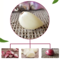 Yunnan Premium Pruple Skin Alho desidratado com vários dentes